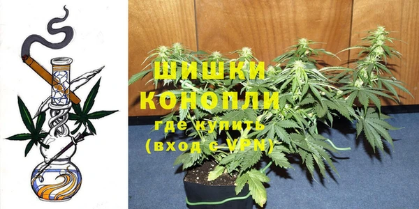 гидропоника Вяземский