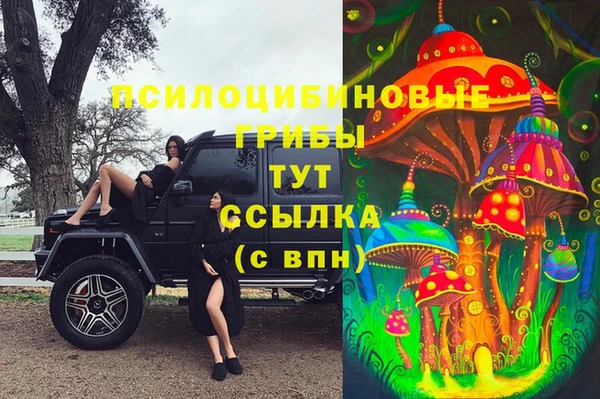 ПСИЛОЦИБИНОВЫЕ ГРИБЫ Вязьма