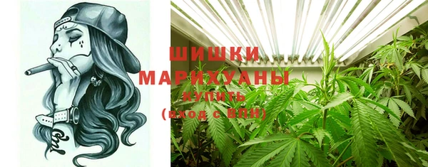 ПСИЛОЦИБИНОВЫЕ ГРИБЫ Вязьма