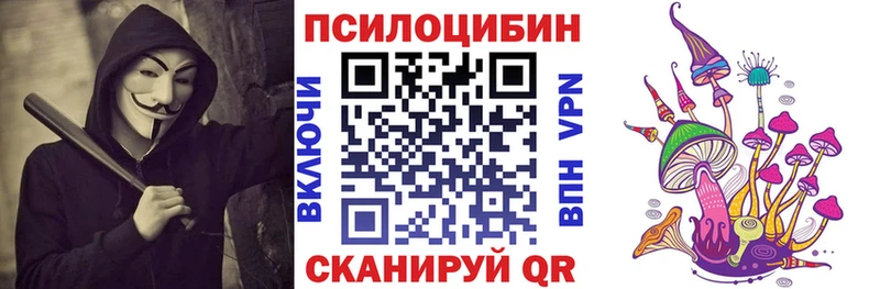 Галлюциногенные грибы Psilocybe  Новосокольники 